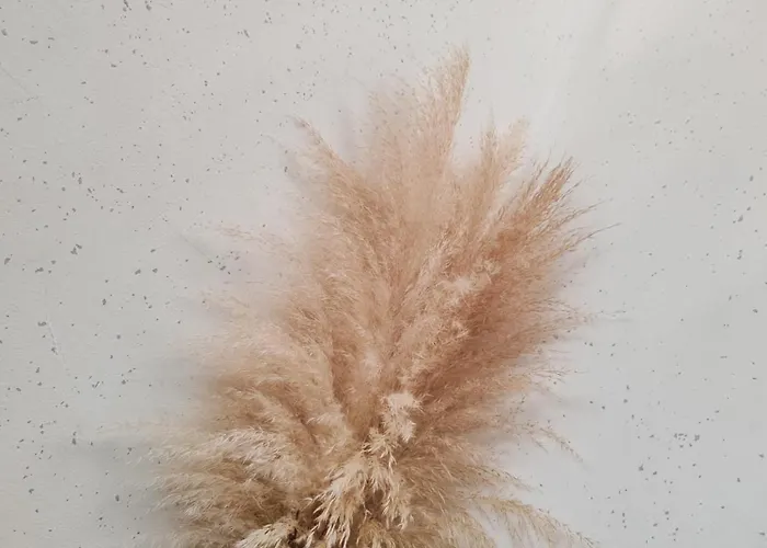 Emia Family House Catez