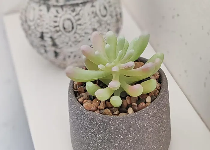 아파트 Emia Family House Catez Brežice